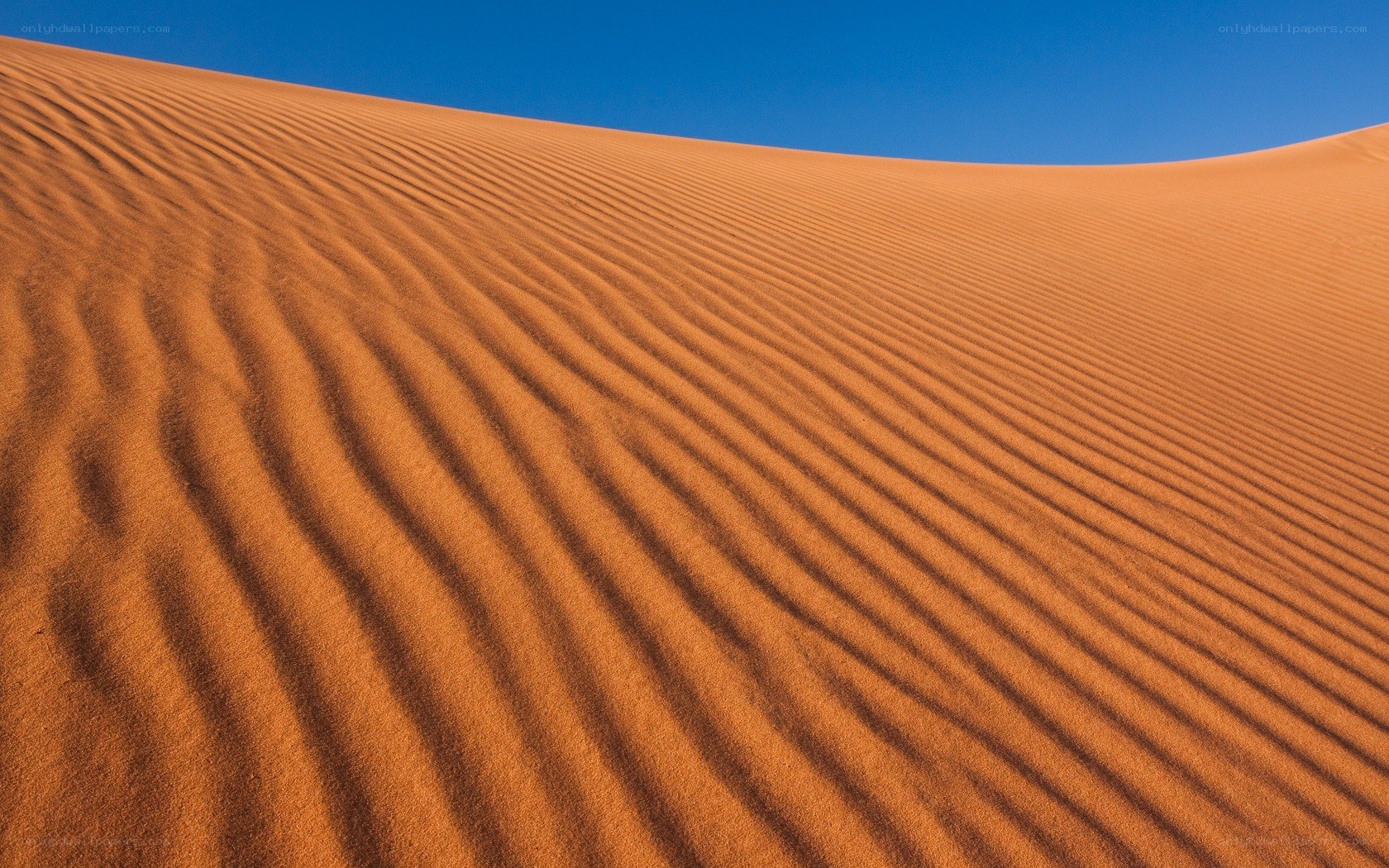 Rippled sand dunes under blue sky