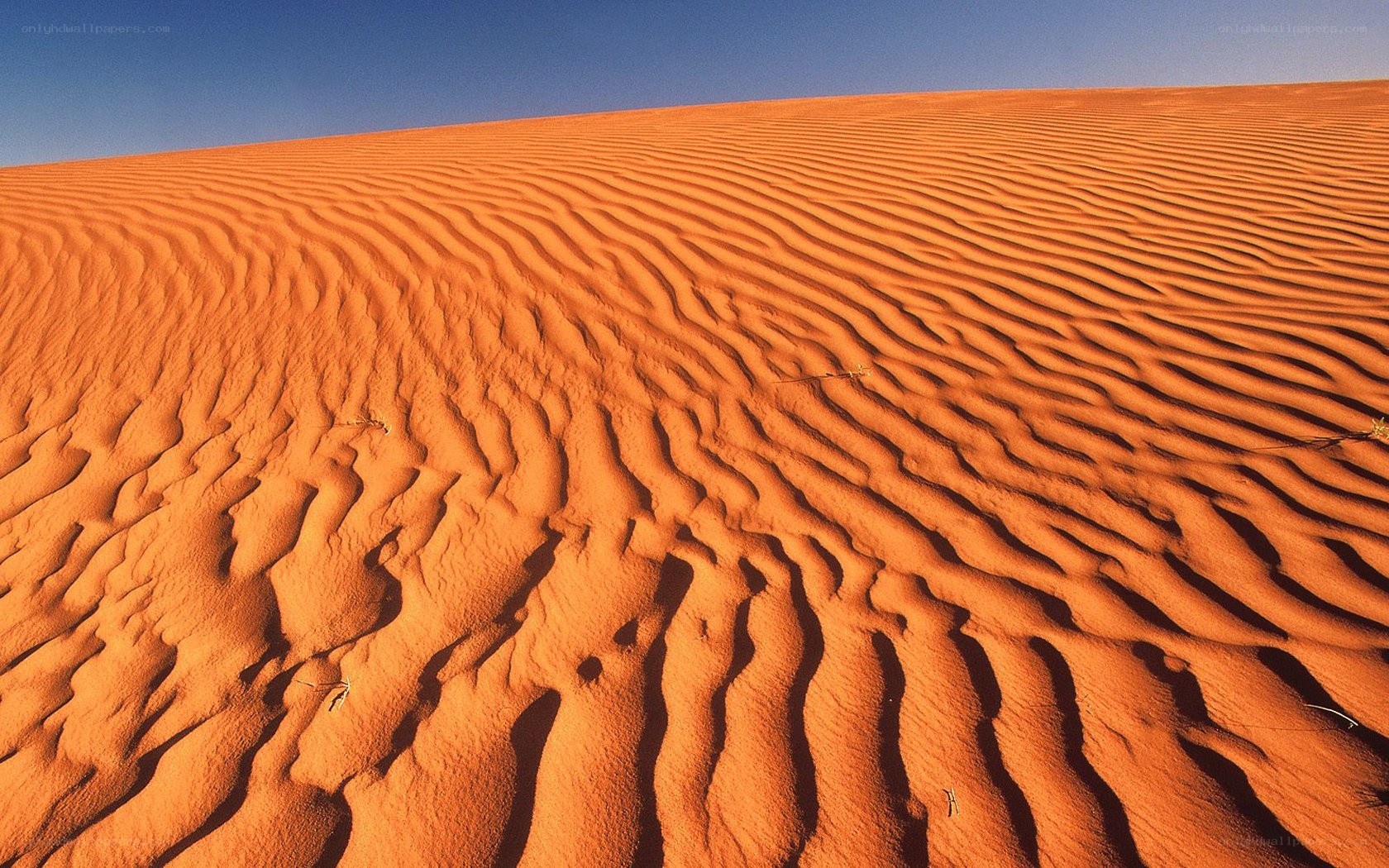 Rippled sand dunes under blue sky