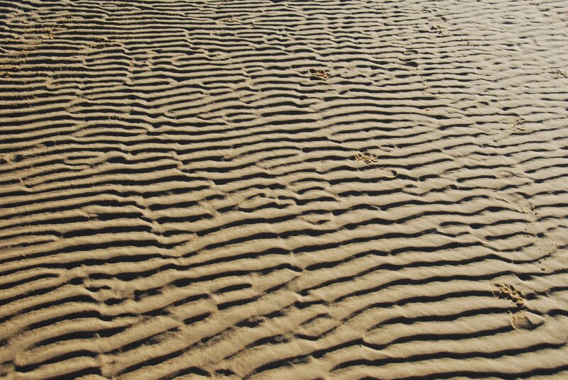 rippled sand patterns