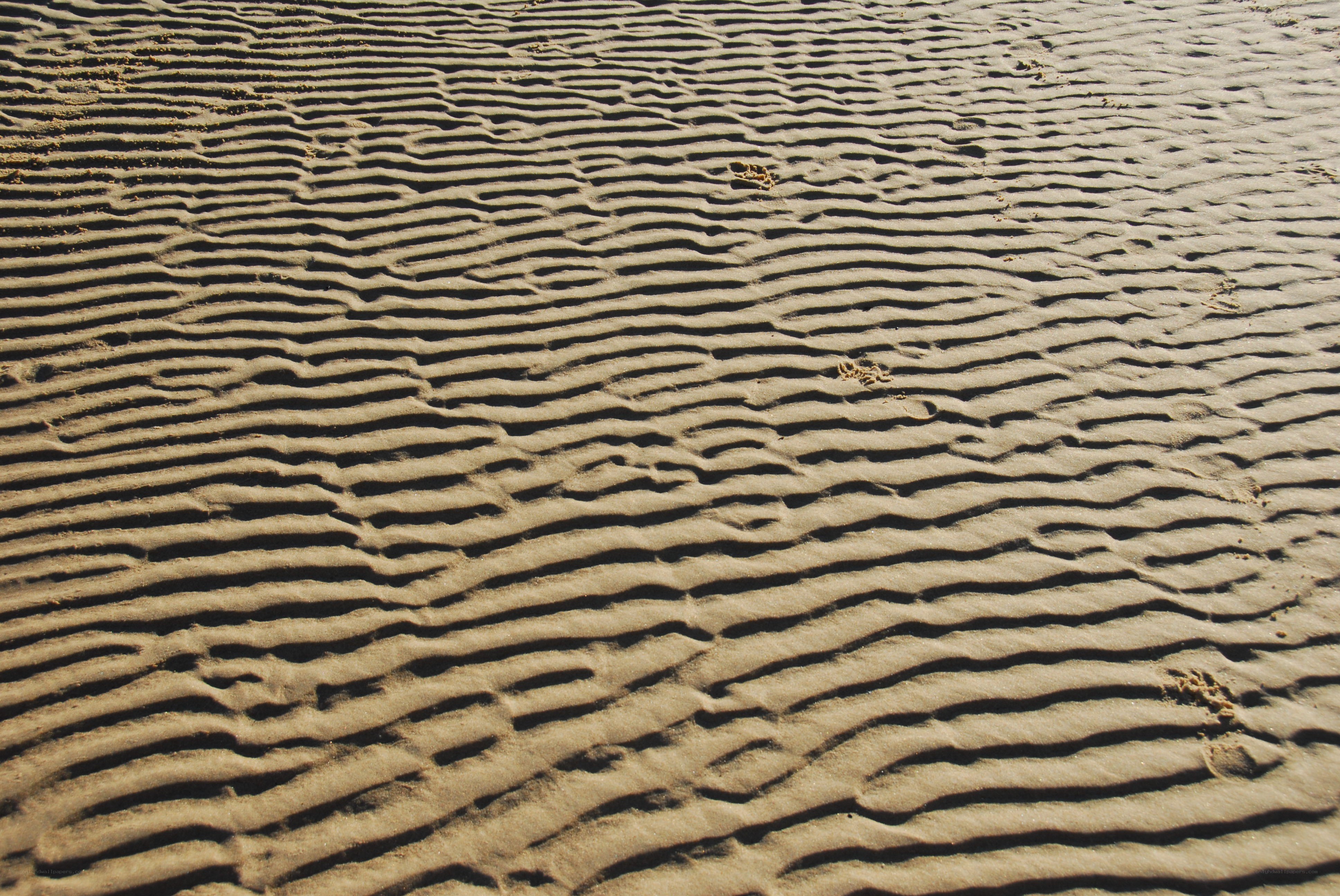 rippled sand patterns