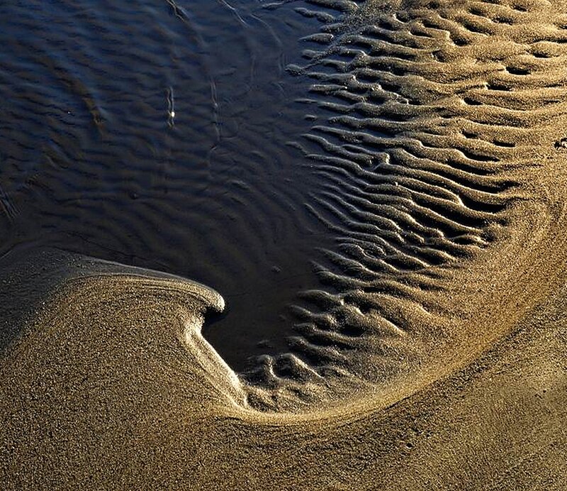 Rippled Sand Patterns — Brown