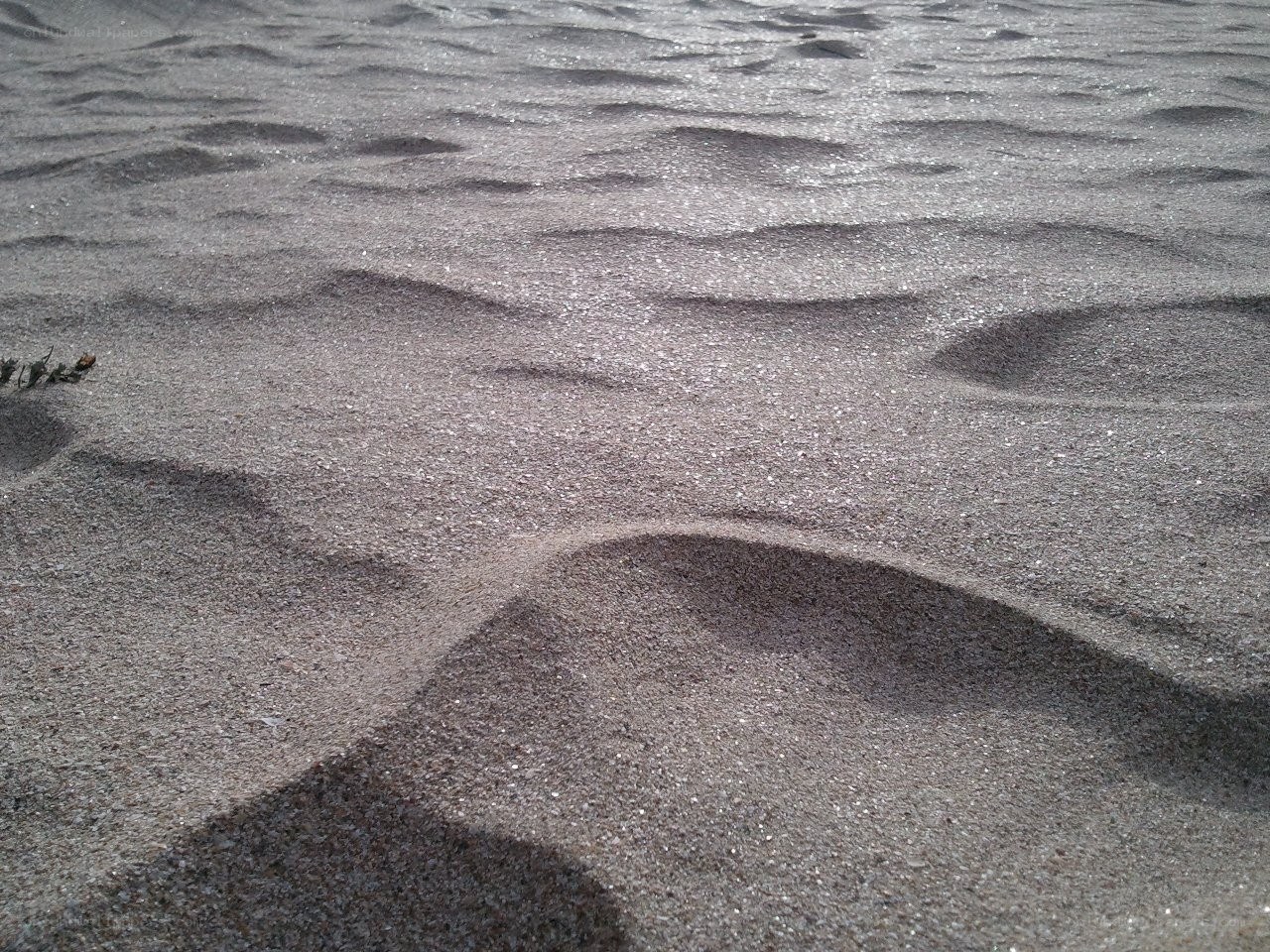 rippled sand surface