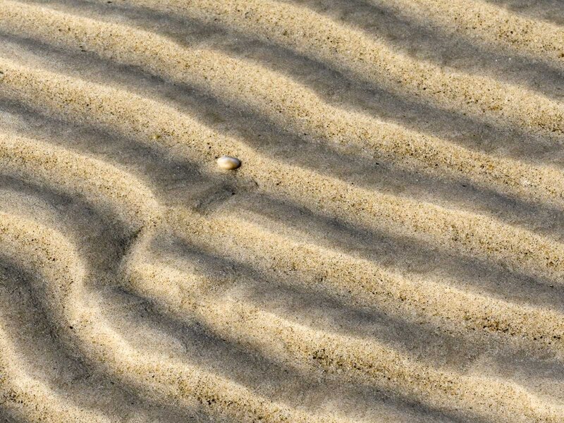 rippled sand with shell