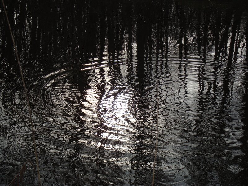 Rippled Water Surface — Black, Serene