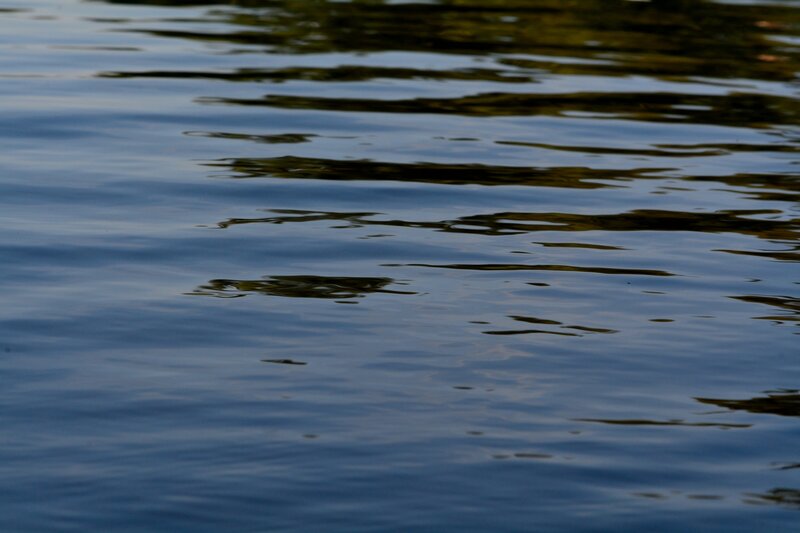 Rippled Water Surface — Blue, Calm, Sunset