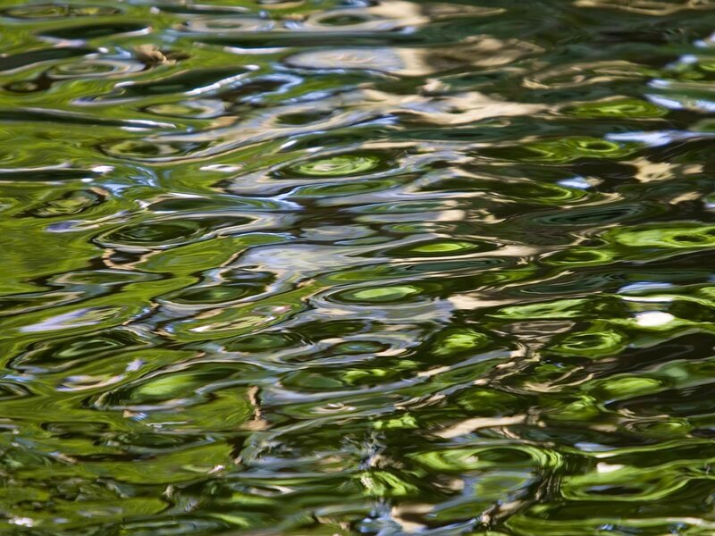 Rippled Water Surface