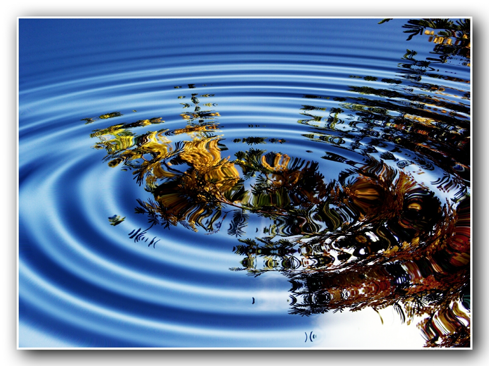 Ripples on a blue pond