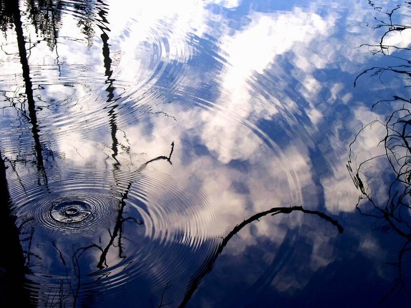 Ripples on a calm lake
