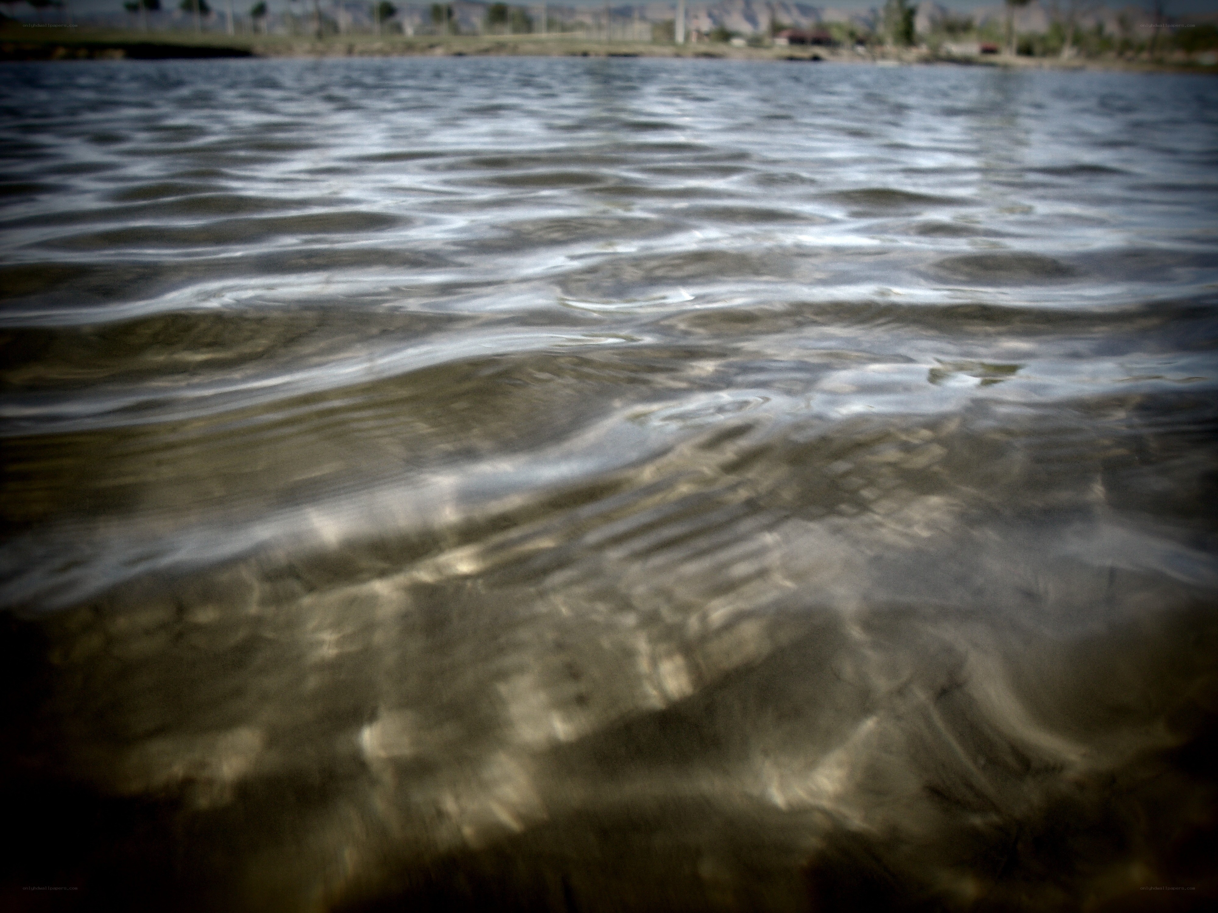 Ripples on a calm lake surface