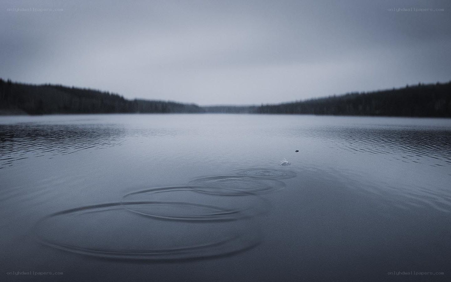 Ripples on a calm lake