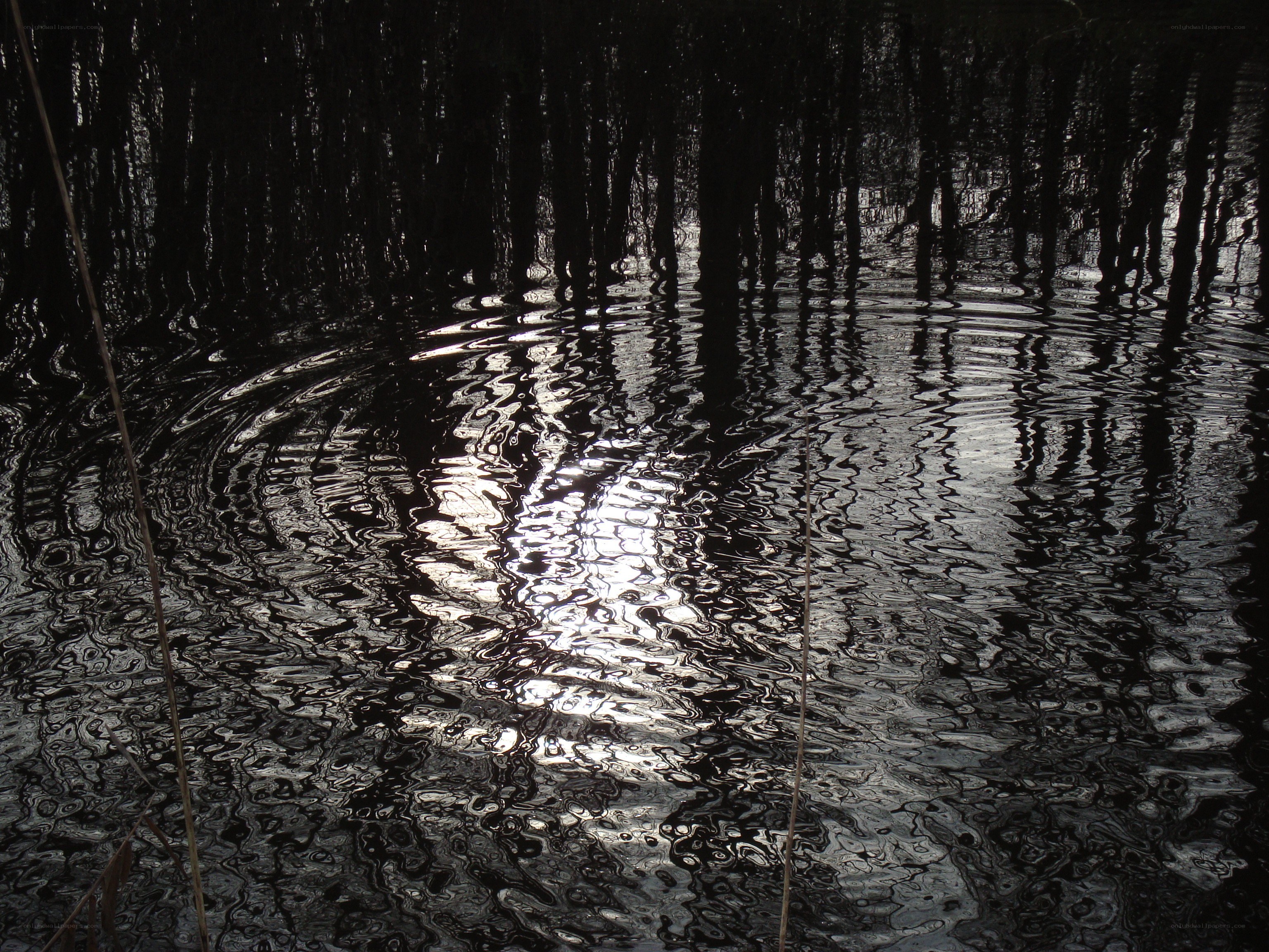 Ripples on a dark water surface