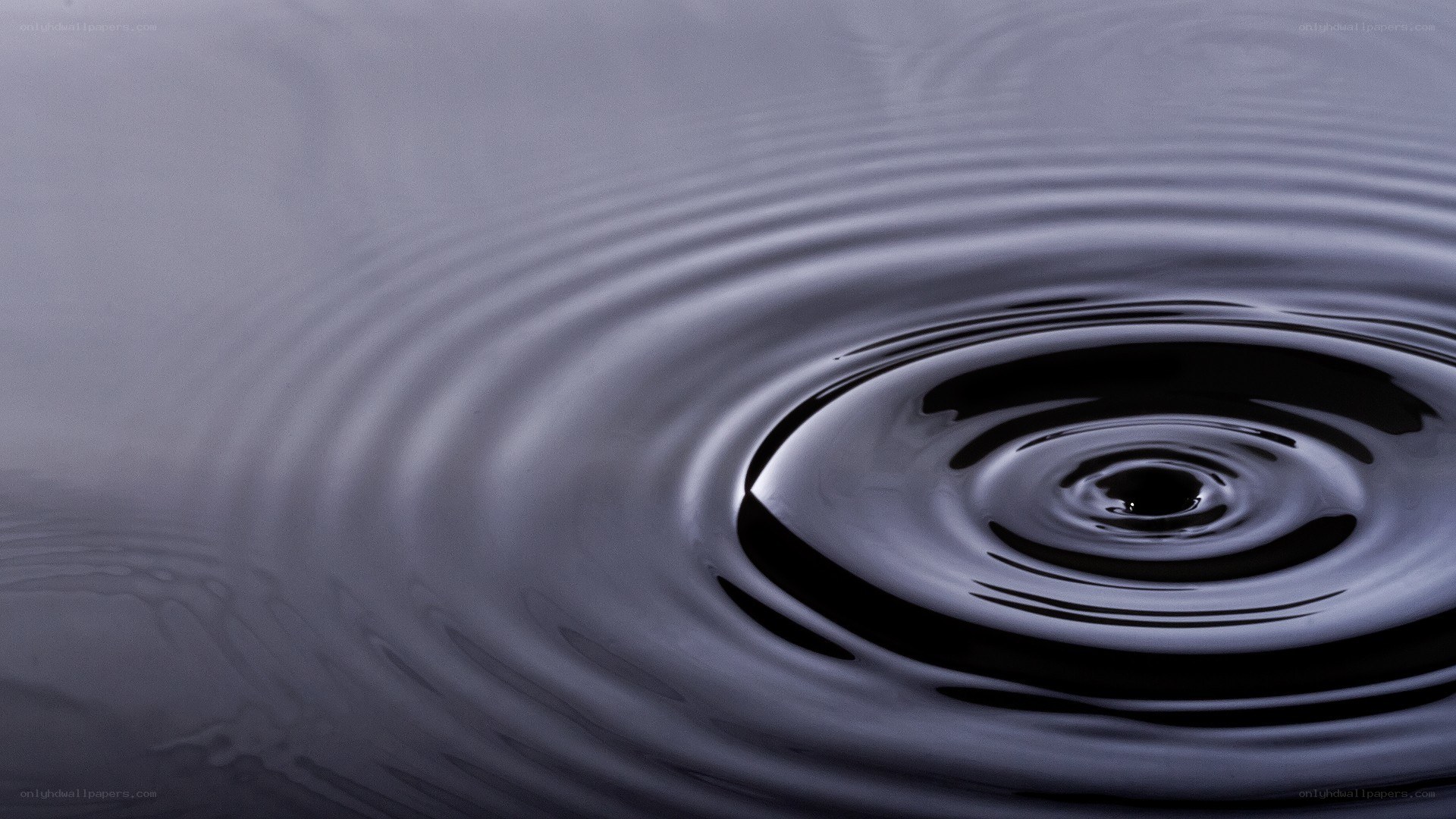 Ripples on a dark water surface