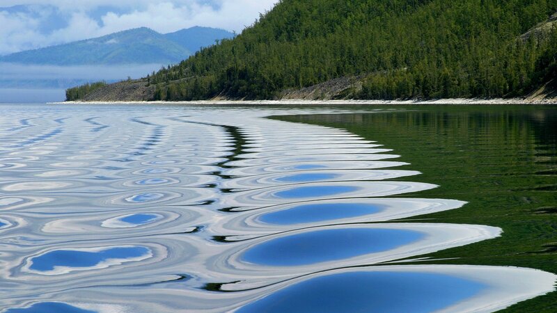 Ripples on a forest lake