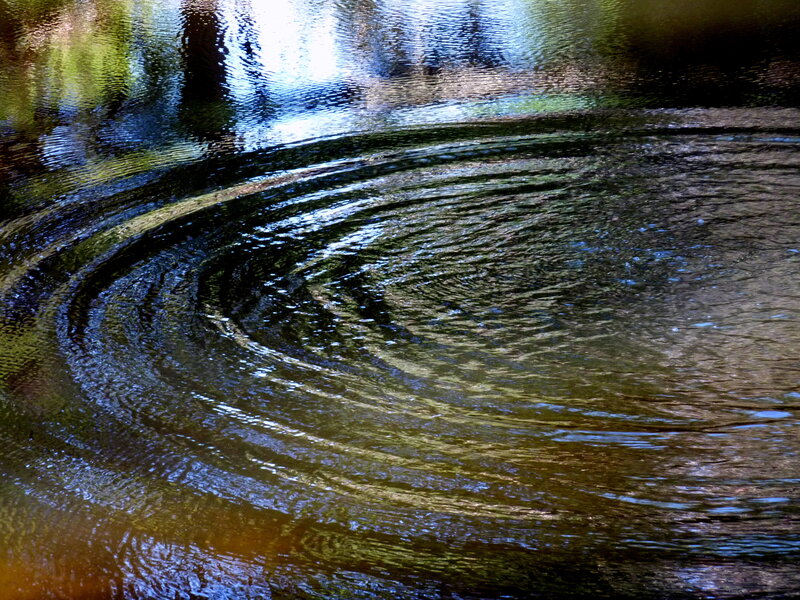 Ripples on a forest stream