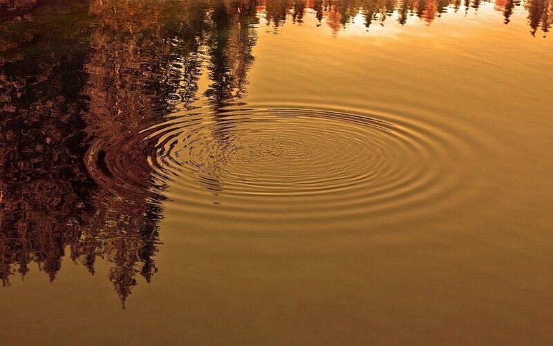 Ripples on a golden lake