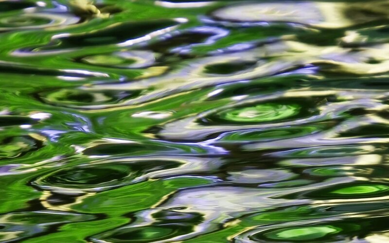 Ripples on a green water surface