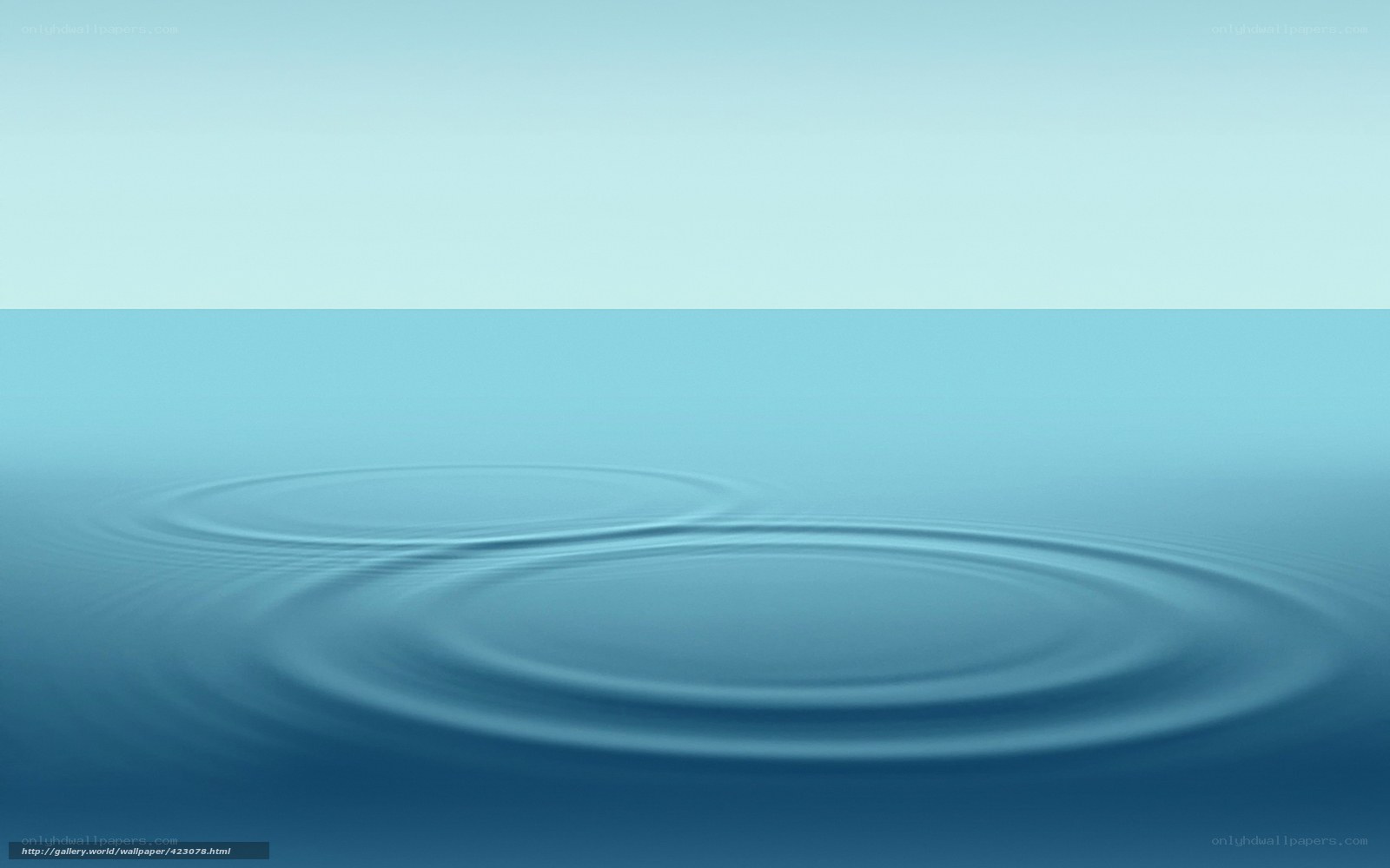 Ripples on calm water