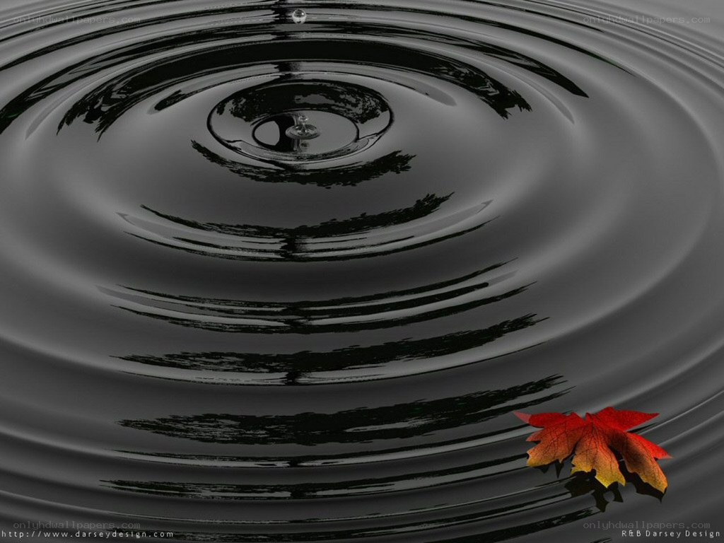 Ripples on dark water with leaf