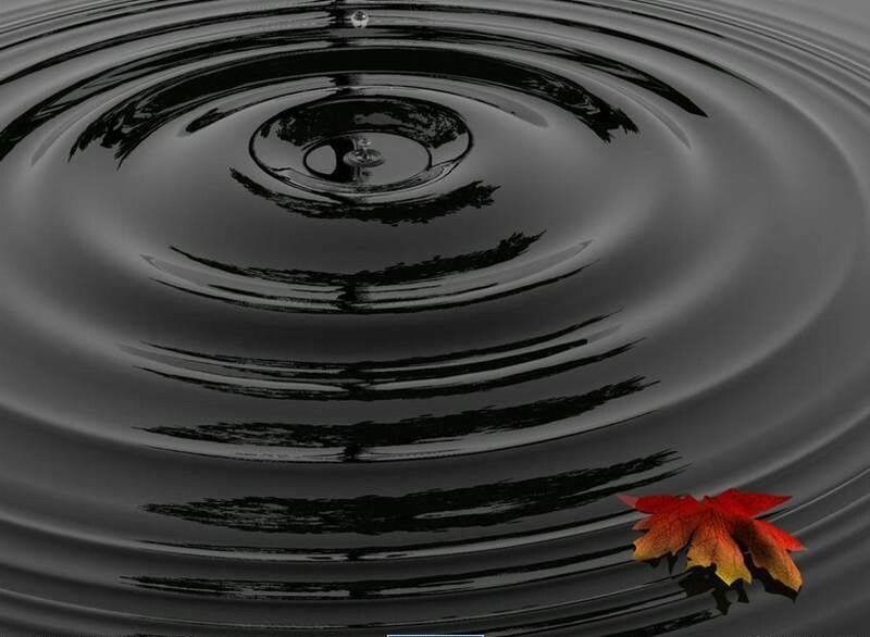Ripples on dark water with leaf
