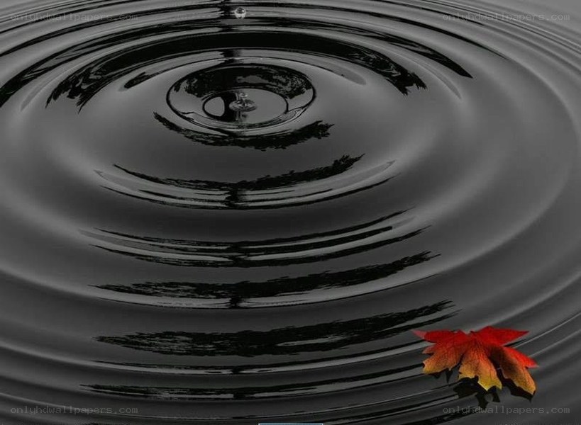 Ripples on dark water with leaf