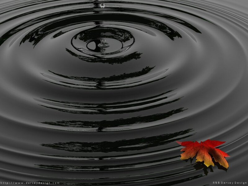 Ripples on dark water with leaf