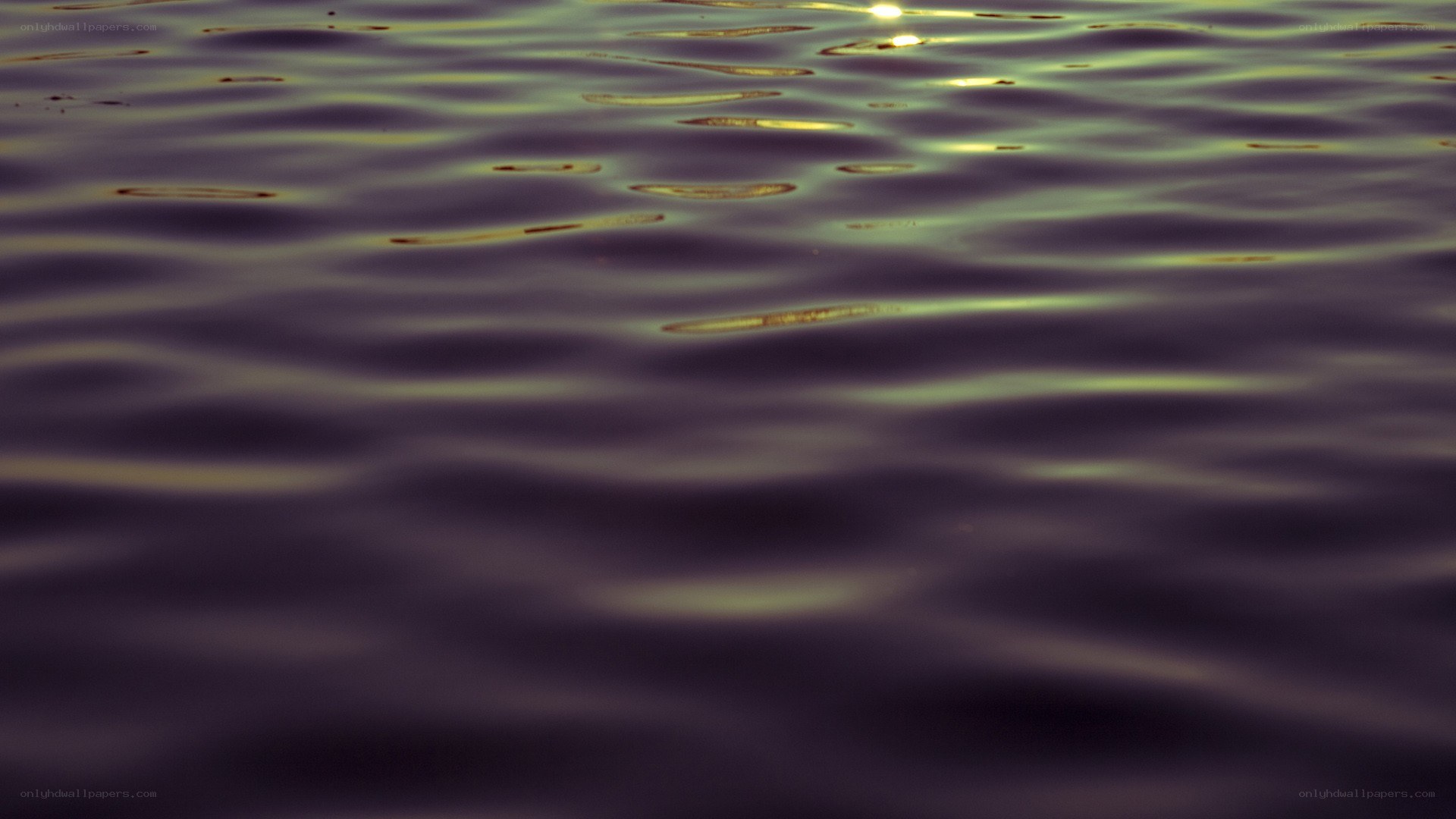 Ripples on water at sunset