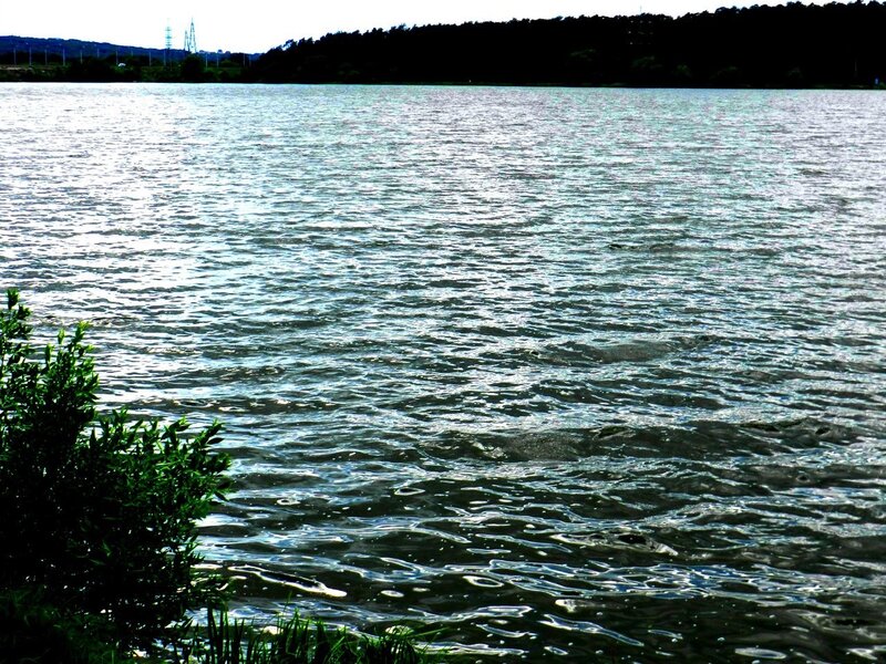 Rippling lake water