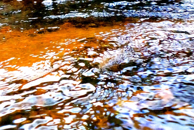 Rippling Water Surface — Blue, Calm, Photograph