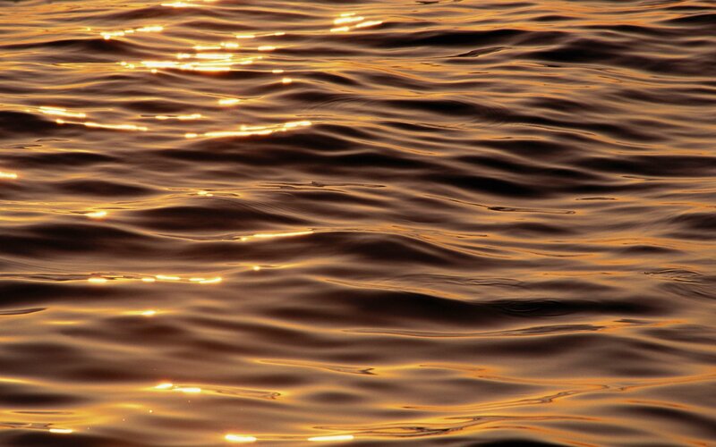 Rippling Water Surface — Gold, Serene