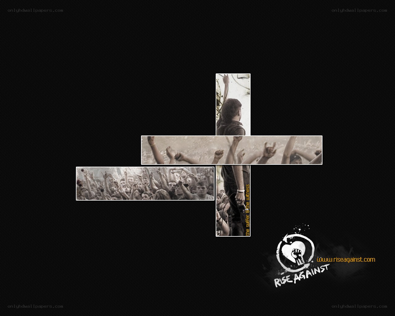 Rise Against concert collage