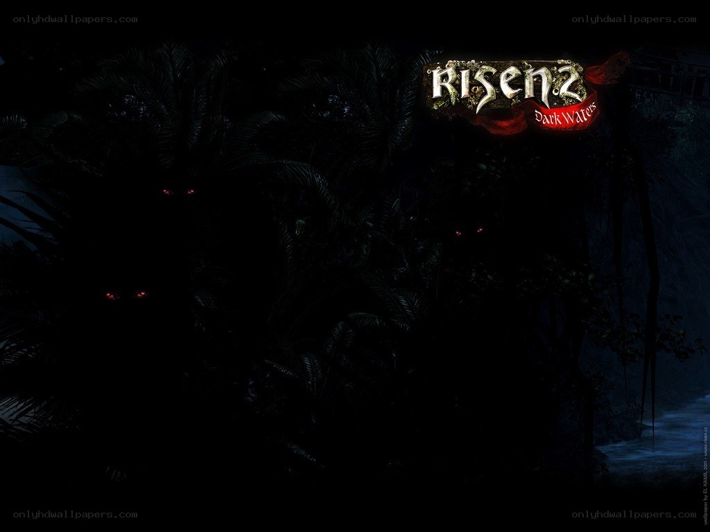 Risen 2 Dark Waters game wallpaper