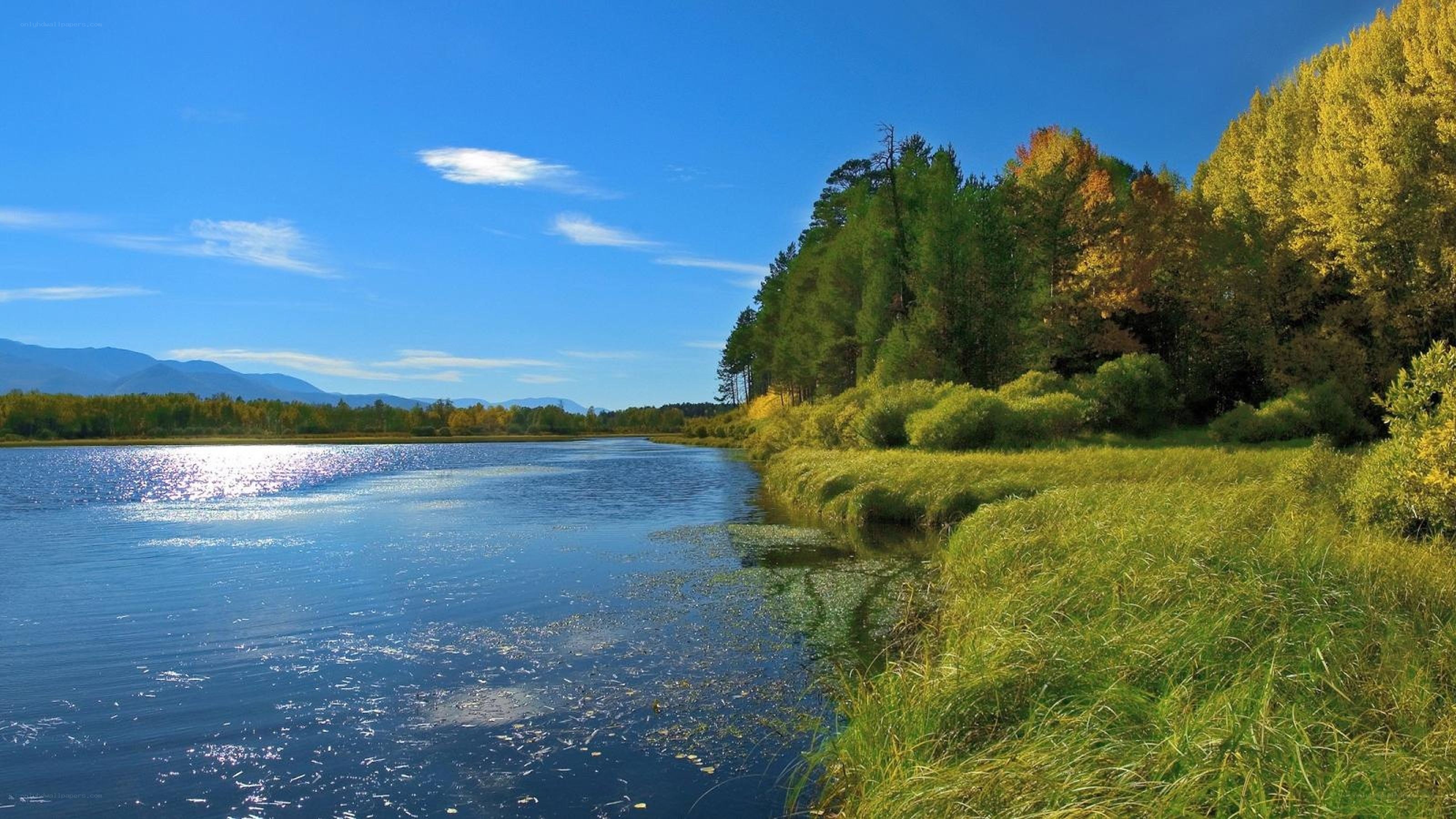River and forest in autumn