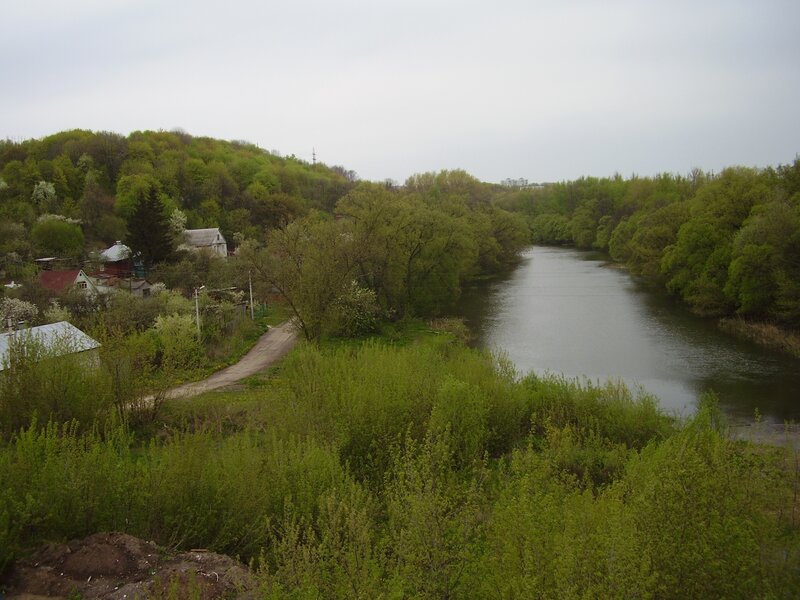 River and forest landscape