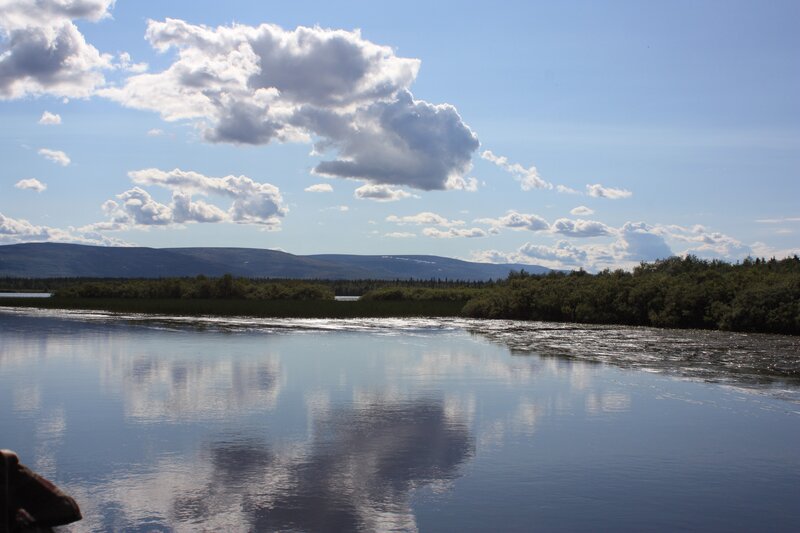 River and Forest Landscape — Blue