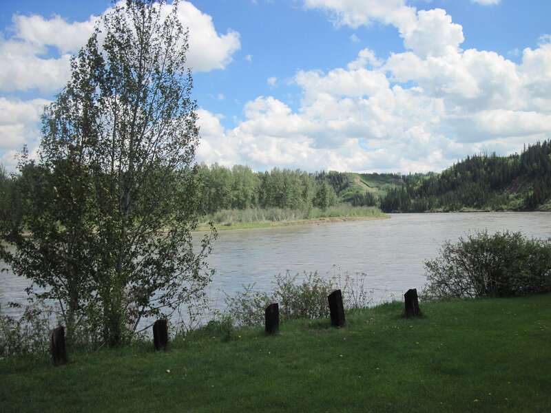 River and Forest Landscape — Green