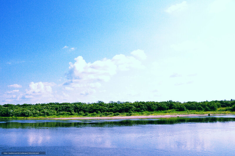 River and forest landscape