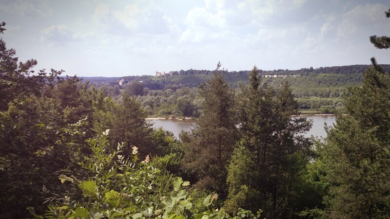 River and Forest View