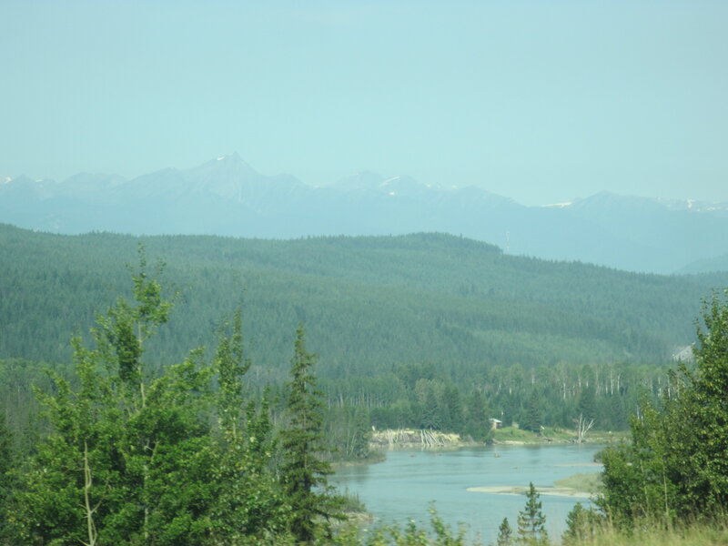 River and Forested Hills — Green
