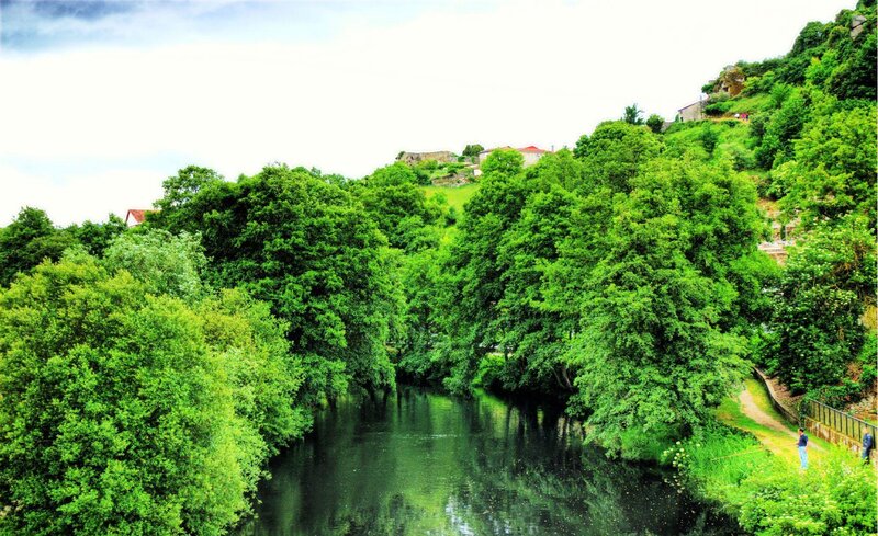 River and green trees landscape