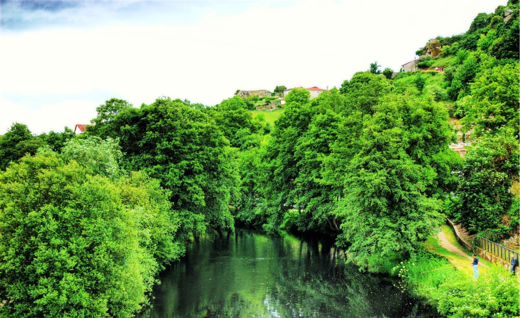 River and green trees landscape