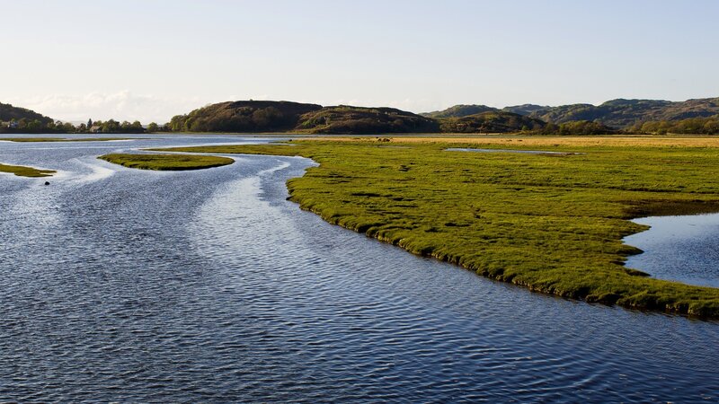 River and Marshland