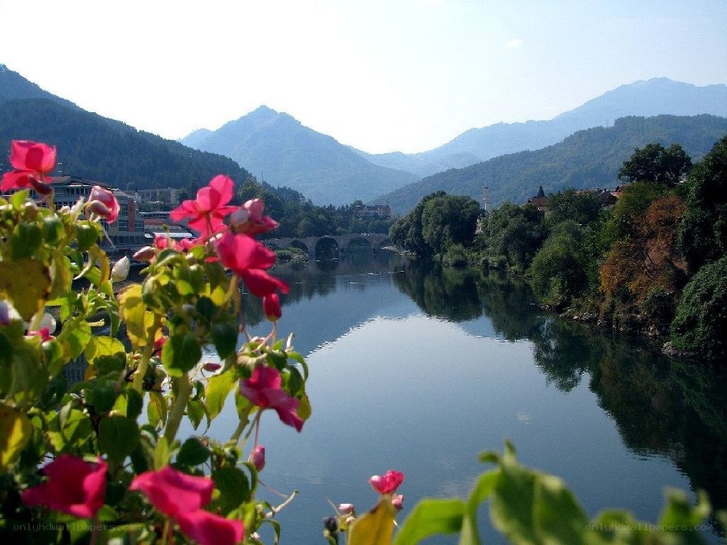 River and mountains with flowers