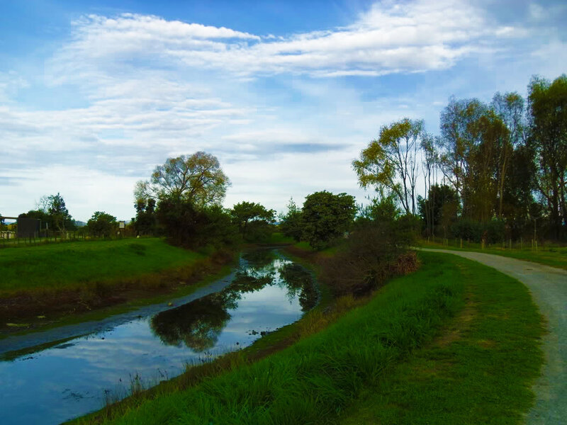 River and Path in Park — Green
