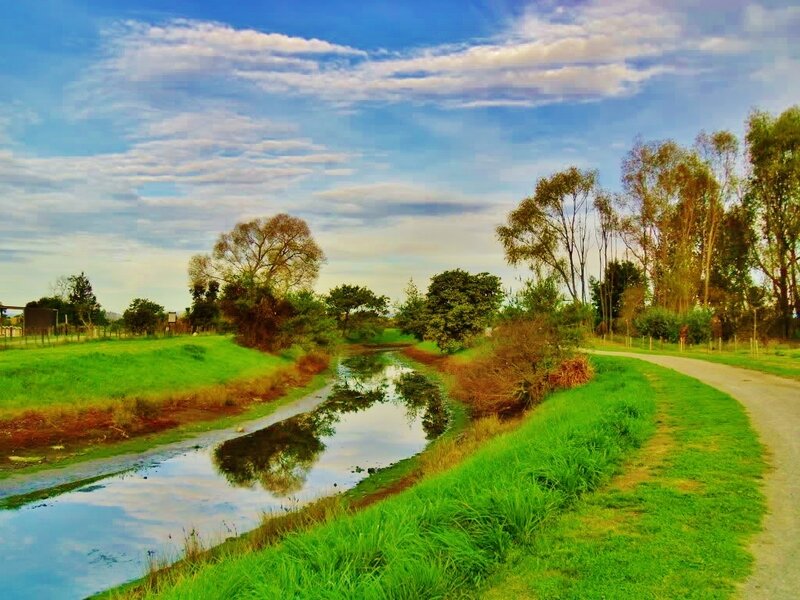 River and Path in Park