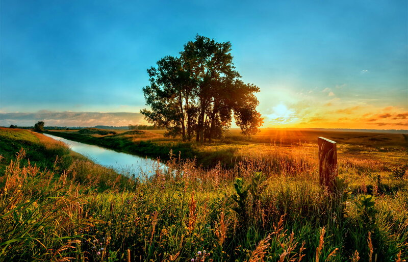 River and Trees at Sunset