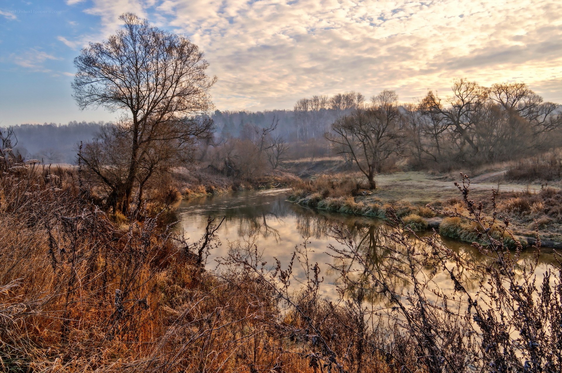 River at dawn in autumn