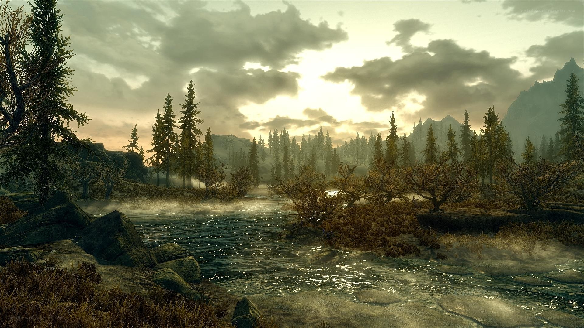 river at dawn in forest