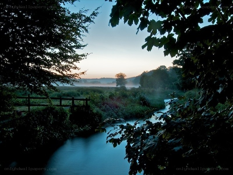 River at dawn through trees