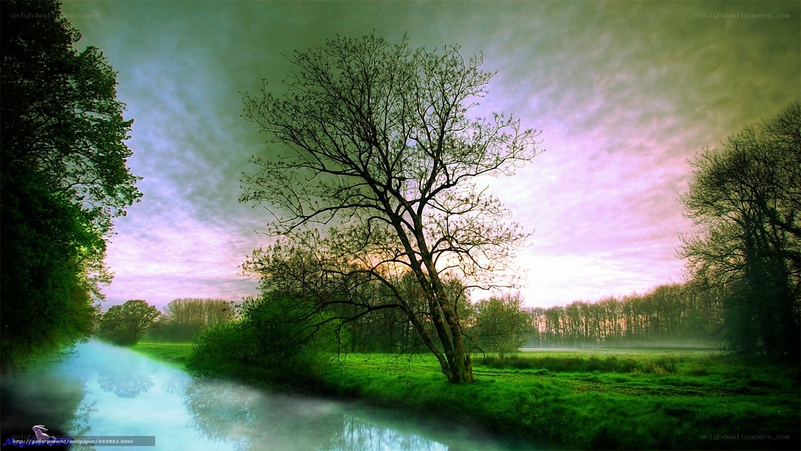 River at dawn with misty sky
