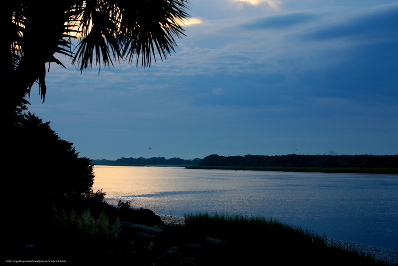 River at Dusk — Blue, Serene, Sunset, Photograph, Palm Tree